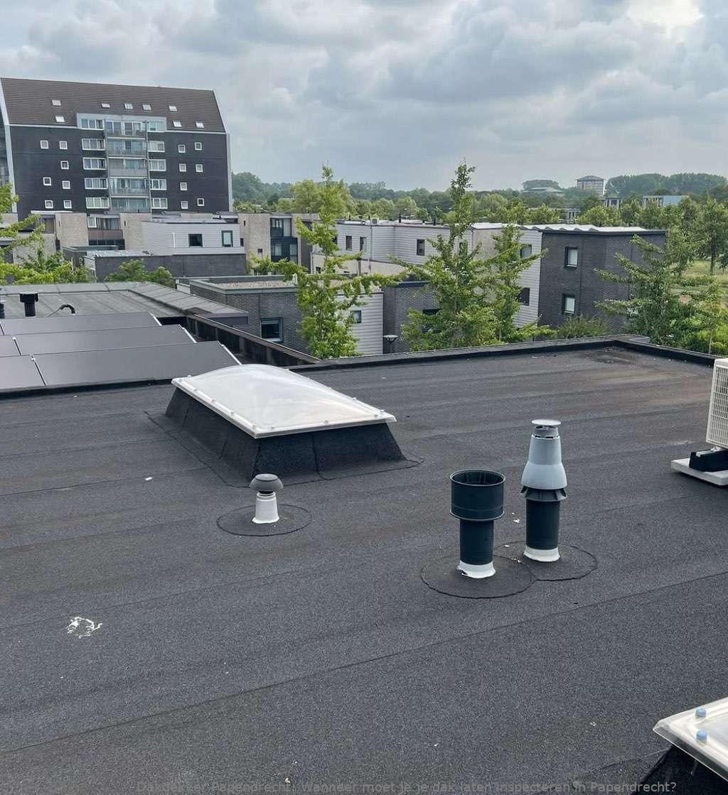 Wanneer moet je je dak laten inspecteren in Papendrecht?