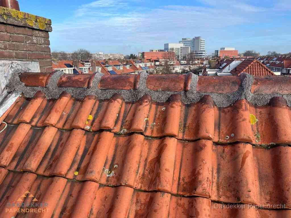Nieuw bitumen plat dak met uitzicht over woonwijk in Papendrecht