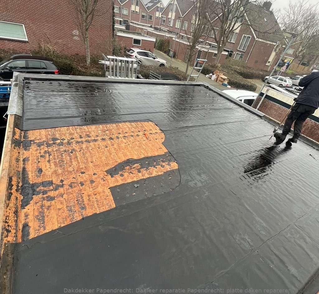Dakleer Reparatie Papendrecht