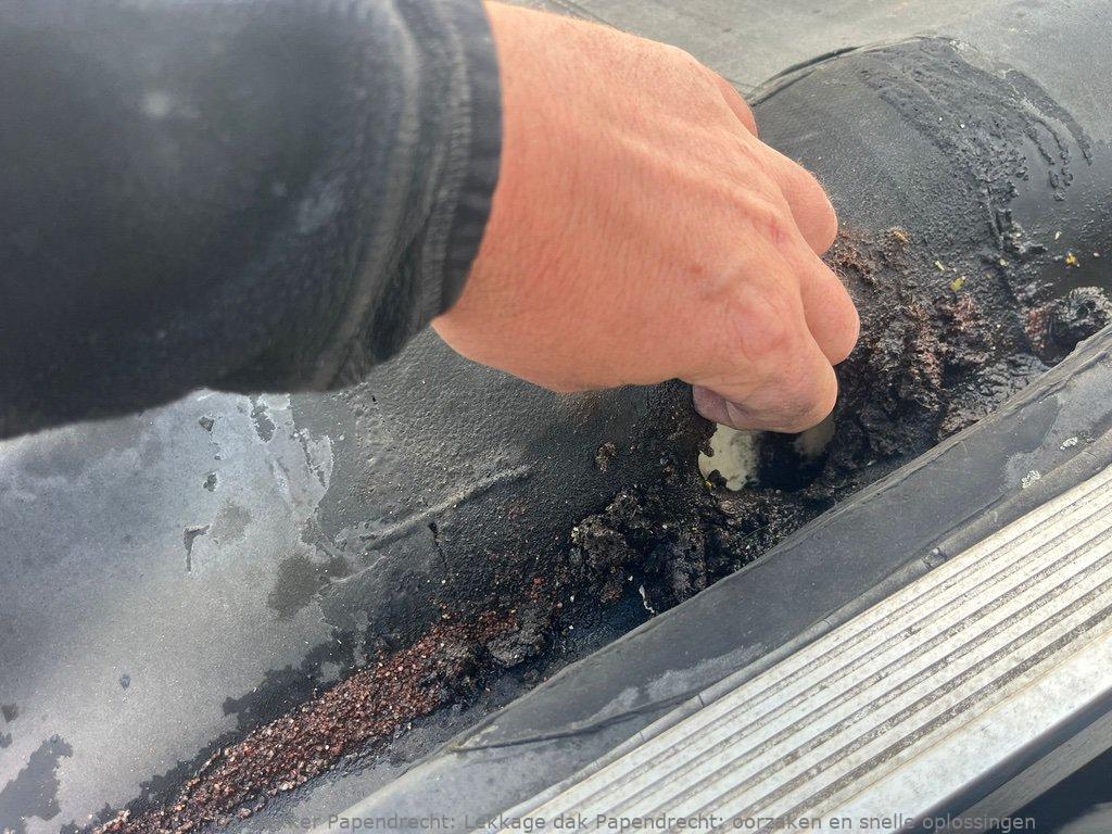 Lekkage Plat Dak Papendrecht 1