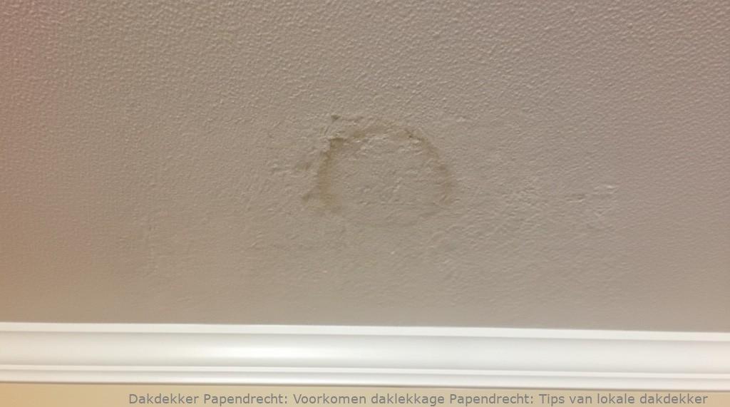 Voorkomen Daklekkage Papendrecht