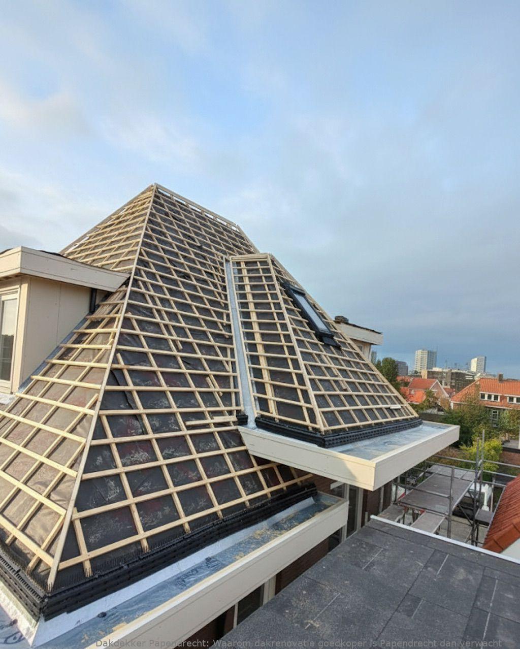 Waarom Dakrenovatie Goedkoper Is Papendrecht